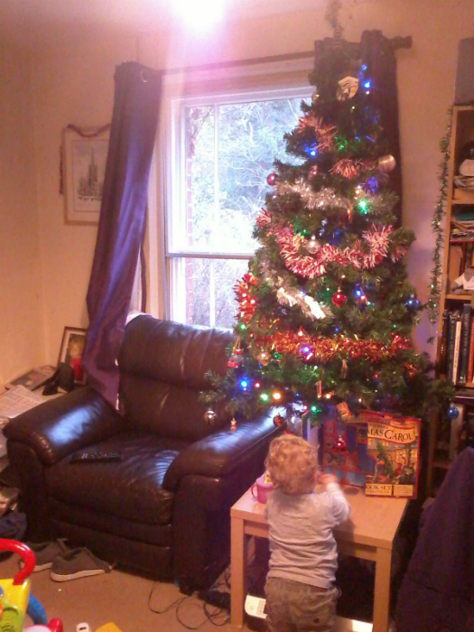 Alfie admiring our new Christmas Tree at home.