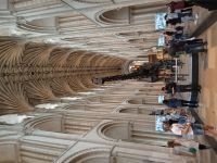 Dippy the dinosaur in Norwich Cathedral.
