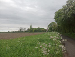 View of Pettistree tower from Pettistree Village Hall.