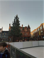 The Christmas tree in Ipswich town centre.