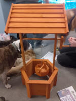 Our champion wishing well!