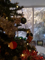 The festive scene at ours on the twelfth day of Christmas.