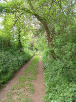 Track up to Hargrave church.
