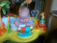 Alfie getting used to his new bouncer.