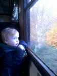 Alfie on the train at Nene Valley Railway.