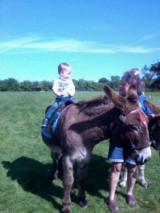 Alfie riding a donkey.