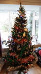 Christmas Tree decorated!