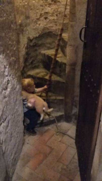 Joshua attempting ringing at the bottom of the stairs to Framlingham ringing chamber. Accompanied by a meerkat of course.