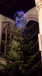 Christmas Tree at St Mary-le-Tower that some of us helped to put up.