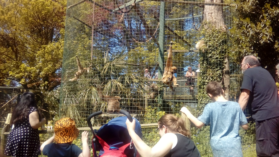 Taking in the animals at Thrigby Hall Wildlife Gardens.