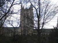 The Cathedral through winter trees.