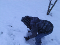 Mason rolls up a snowball for his snowman.