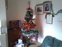 Our Christmas Tree!