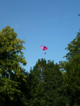 Sproughton Annual Teddy Bear Parachute Jump.