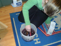 Starting the wine making process!