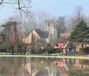 Shelley. Image: Terry Mansell.
